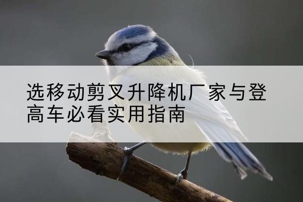 东丰电动升降机厂家-选移动剪叉升降机厂家与登高车必看实用指南