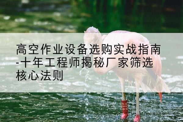 东丰剪叉式升降机厂家-高空作业设备选购实战指南-十年工程师揭秘厂家筛选核心法则