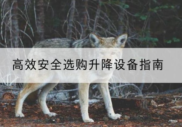 东丰升降货梯厂家推荐-*安全选购升降设备指南