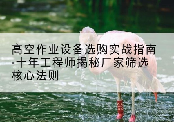 东丰剪叉式升降机厂家-高空作业设备选购实战指南-十年工程师揭秘厂家筛选核心法则